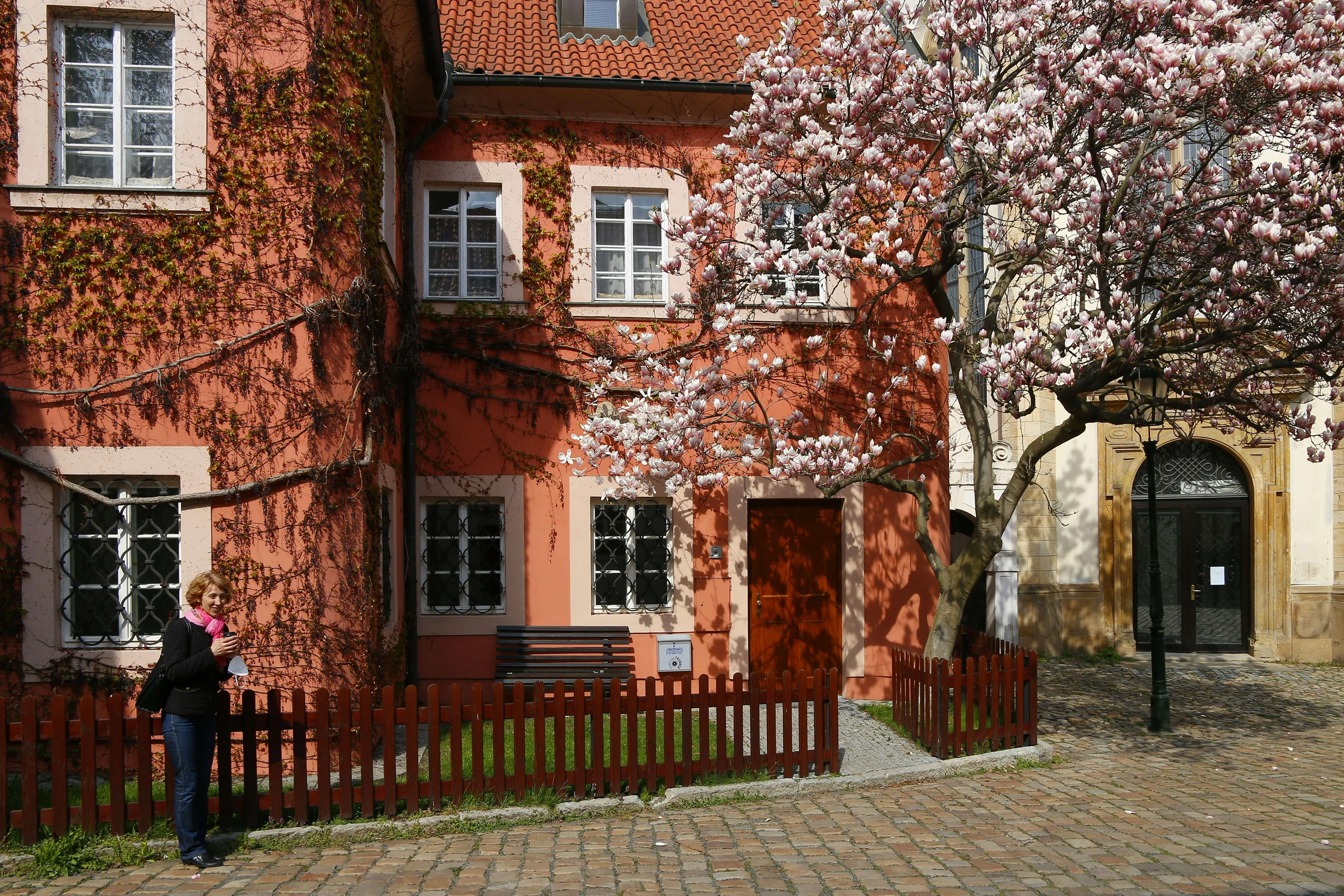 Prag im Frühling: Die besten Aktivitäten