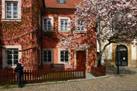 Prag im Frühling: Die besten Aktivitäten