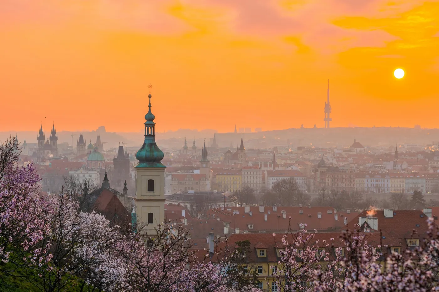 Kirschblüte am Petřín, dahinter die Dächer und Türme der Stadt in der Dämmerung